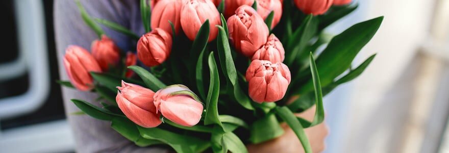 bouquet de tulipe